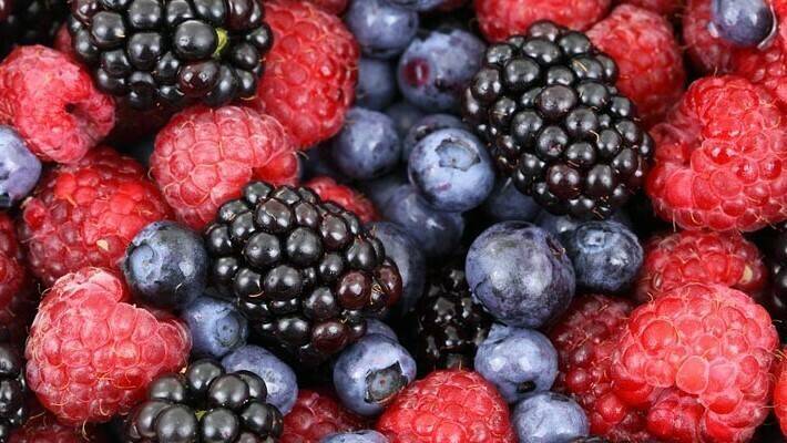 tratamiento-arandanos-bayas-uvas|uvas ozono|autumn-1866458_960_720|currant-896223_960_720|cosemarozono